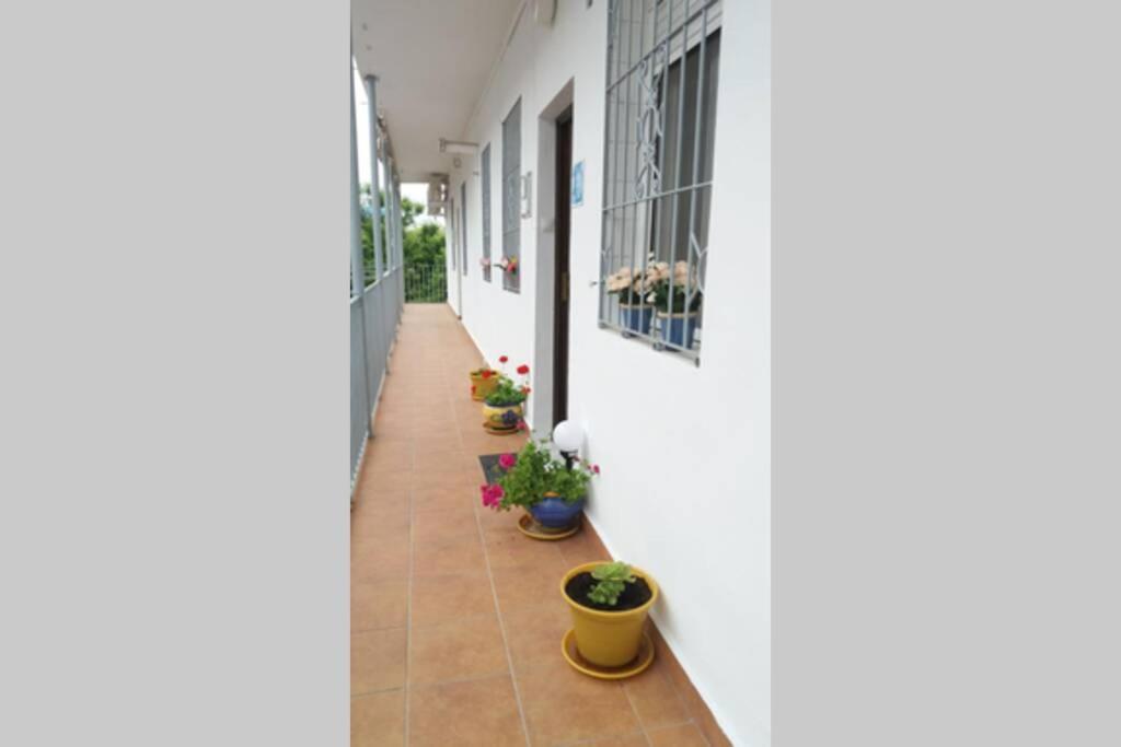 Apartmán Apartamento Al-Zhara, Junto Puente Romano Córdoba Exteriér fotografie