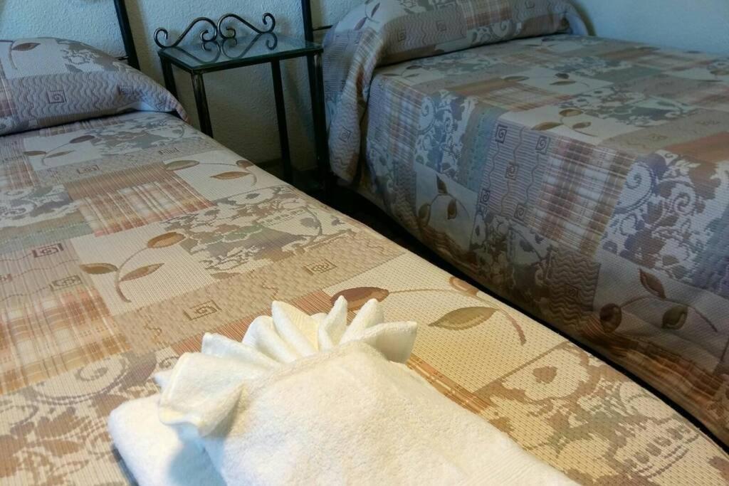 Apartmán Apartamento Al-Zhara, Junto Puente Romano Córdoba Exteriér fotografie
